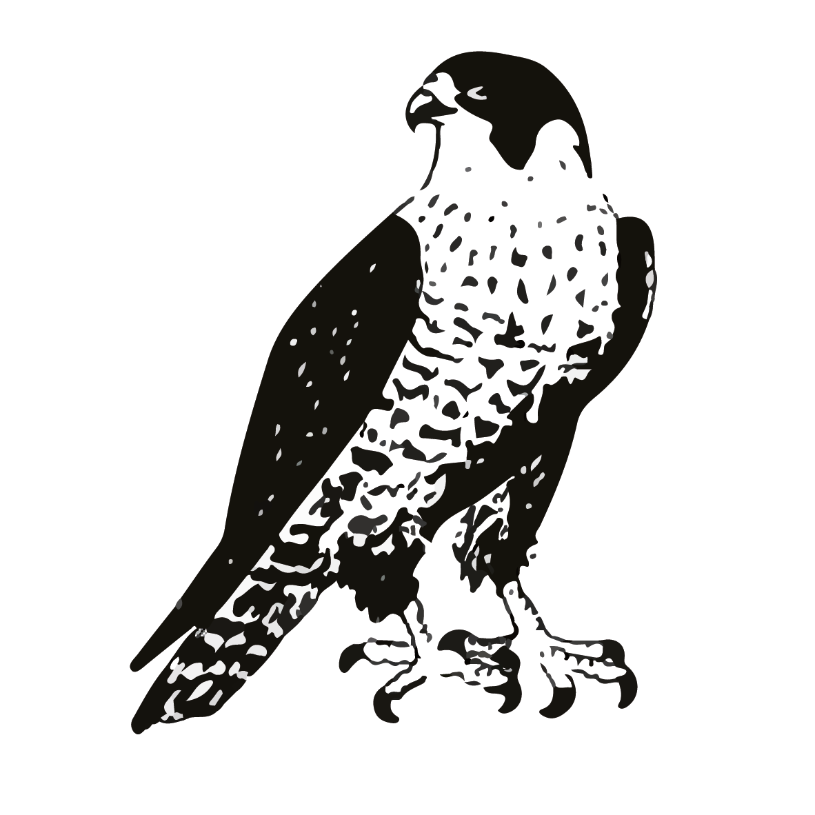 Cercle Ornithologique de Lausanne